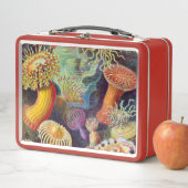 Ernst Haeckel-Seeanemonen-Marinesoldat: Actiniae Metall Lunch Box (Beispiel)