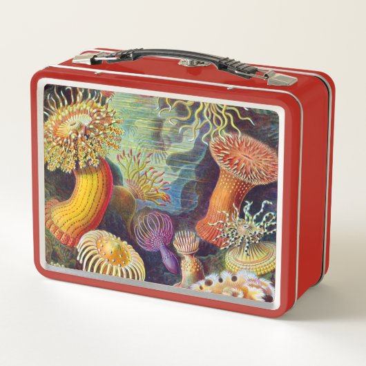 Ernst Haeckel-Seeanemonen-Marinesoldat: Actiniae Metall Lunch Box (Rückseite)