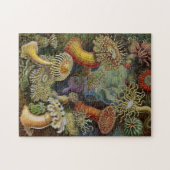 Ernst Haeckel-Seeanemonen Puzzle (Horizontal)