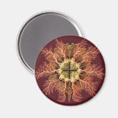 Ernst Haeckel Seescheide Rotes Meer Lebens Kunst Magnet (Vorderseite/Rückseite)