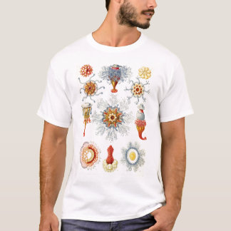 Ernst Haeckel - Siphonophorae2-Hemd T-Shirt