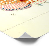 Ernst Haeckel - Siphonophorae2 Poster (Ecke)