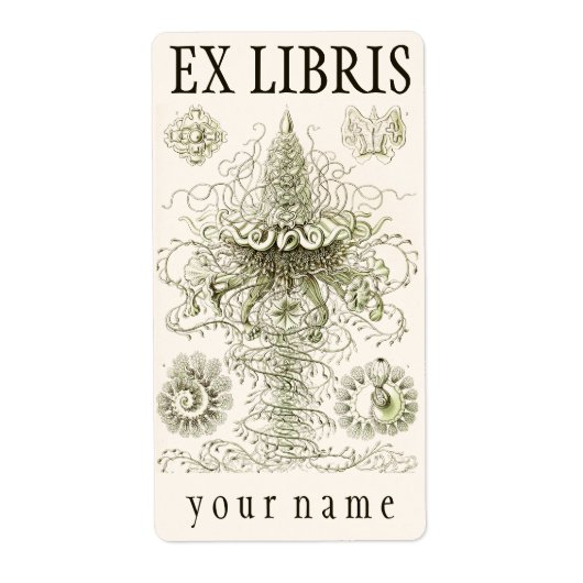 Ernst Haeckel Siphonophorae Exlibris (Vorne)