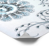 Ernst Haeckel Siphonophorae Jellyfish Bluebottle Poster (Ecke)