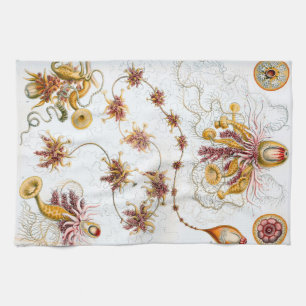 Ernst Haeckel Siphonophorae Quallen Küchentuch