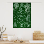 Ernst Haeckel - Siphonphorae6 Poster (Küche)