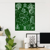 Ernst Haeckel - Siphonphorae6 Poster (Heimbüro)