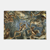 Ernst Haeckel-Sorte exotischer Frösche:Batrachia Fußmatte (Vorderseite)