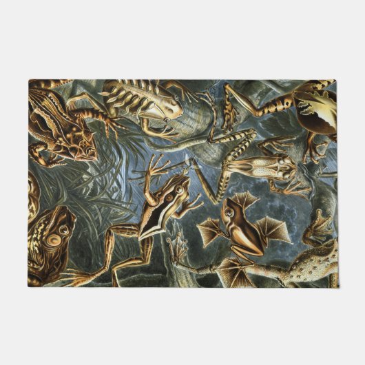 Ernst Haeckel-Sorte exotischer Frösche:Batrachia Fußmatte (Vorderseite)