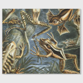 Ernst Haeckel-Sorte exotischer Frösche:Batrachia Geschenkpapier (Flach)