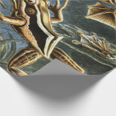 Ernst Haeckel-Sorte exotischer Frösche:Batrachia Geschenkpapier (Ecke)