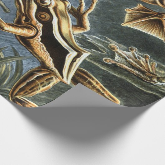 Ernst Haeckel-Sorte exotischer Frösche:Batrachia Geschenkpapier (Ecke)