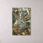 Ernst Haeckel-Sorte exotischer Frösche:Batrachia Leinwanddruck (Vorderseite)