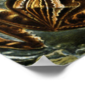 Ernst Haeckel-Sorte exotischer Frösche:Batrachia Poster (Ecke)