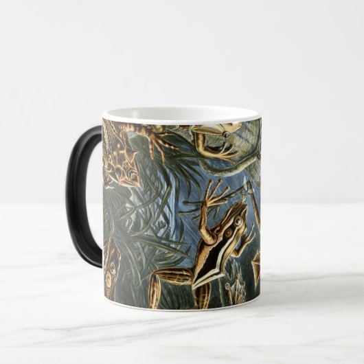 Ernst Haeckel-Sorte exotischer Frösche:Batrachia Verwandlungstasse (Vorderseite Links)