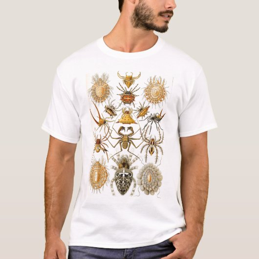 Ernst Haeckel - spinnenartige Tiere T-Shirt (Vorderseite)