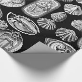 Ernst Haeckel Spirobranchia Geschenkpapier (Ecke)