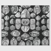 Ernst Haeckel Spirobranchia Geschenkpapier (Flach)