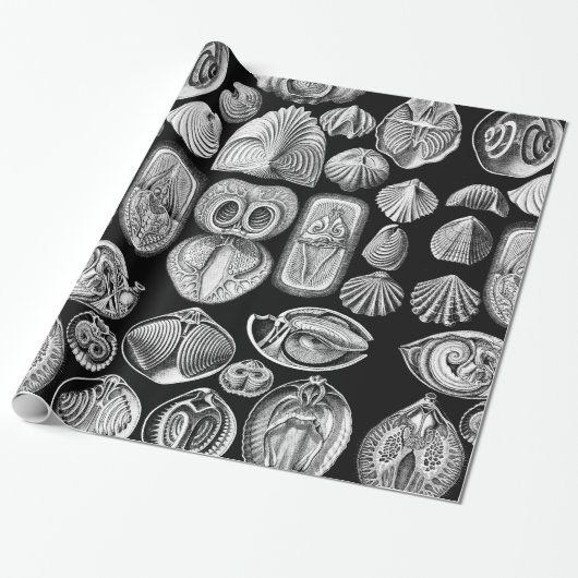 Ernst Haeckel Spirobranchia Geschenkpapier (Ungerollt)
