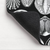 Ernst Haeckel Spirobranchia Mousepad (Ecke)