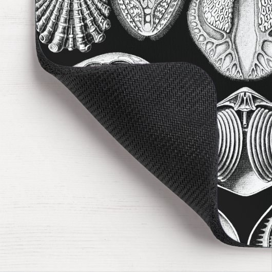 Ernst Haeckel Spirobranchia Mousepad (Ecke)