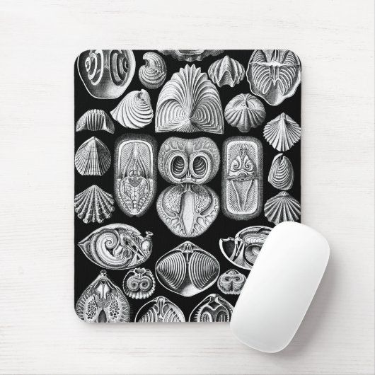Ernst Haeckel Spirobranchia Mousepad (Mit Mouse)
