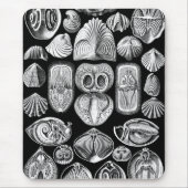 Ernst Haeckel Spirobranchia Mousepad (Vorne)