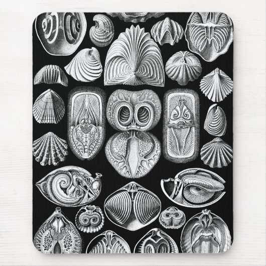 Ernst Haeckel Spirobranchia Mousepad (Vorne)