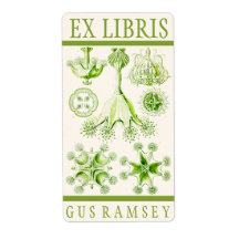 Ernst Haeckel Stauromedusae Buchzeichen