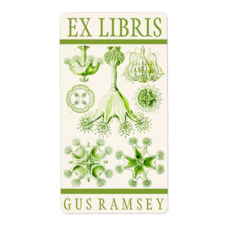 Ernst Haeckel Stauromedusae Buchzeichen