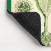 Ernst Haeckel - Stauromedusae Quallen Mousepad (Ecke)