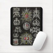Ernst Haeckel - Stephoidea Mousepad (Mit Mouse)
