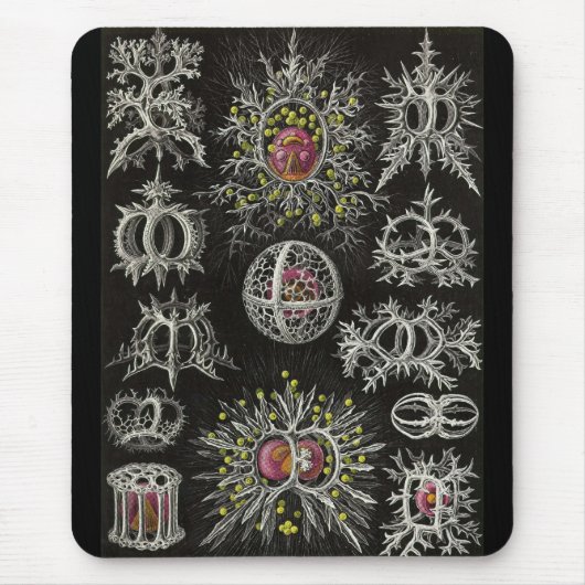 Ernst Haeckel - Stephoidea Mousepad (Vorne)
