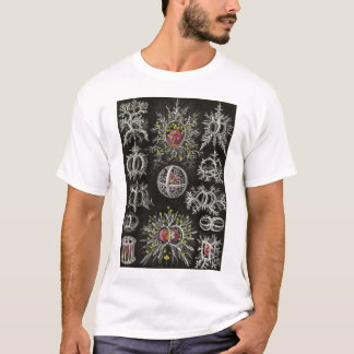 Ernst Haeckel - Stephoidea T-Shirt