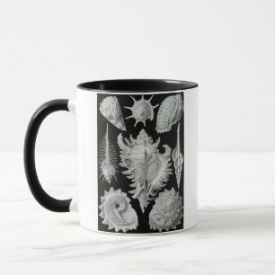 ERNST HAECKEL TASSE