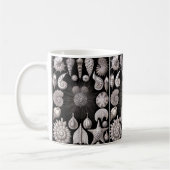 Ernst Haeckel Thalamophora I Kaffeetasse (Links)