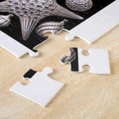 Ernst Haeckel Thalamophora I Puzzle (Seite)