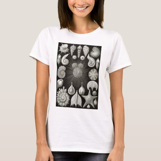 Ernst Haeckel Thalamphora T-Shirt (Vorderseite)