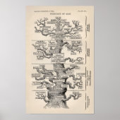 Ernst Haeckel Tree of Life Pedigree of Man Evoluti Poster (Vorne)