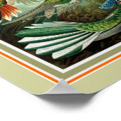 Ernst Haeckel "Trochilidae" 12 x 16 Print Poster (Ecke)