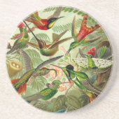 Ernst Haeckel Trochilidae Hummingbird Getränkeuntersetzer (Vorne)