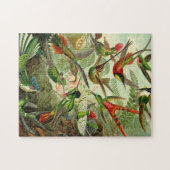 Ernst Haeckel Trochilidae Hummingbird Puzzle (Horizontal)