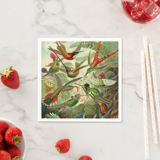 Ernst Haeckel Trochilidae Hummingbird Serviette (Beispiel)