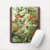 Ernst Haeckel - Trochilidae Hummingbirds Mousepad (Mit Mouse)