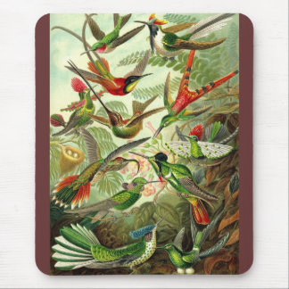 Ernst Haeckel - Trochilidae Hummingbirds Mousepad