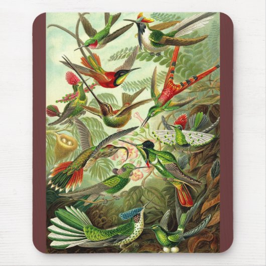 Ernst Haeckel - Trochilidae Hummingbirds Mousepad (Vorne)