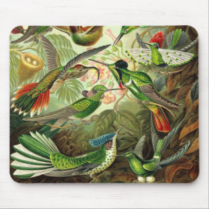 Ernst Haeckel - Trochilidae-Kolibris Detail2 Mousepad
