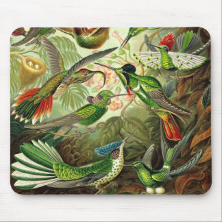 Ernst Haeckel - Trochilidae-Kolibris Detail2 Mousepad