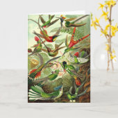 Ernst Haeckel - Trochilidae-Kolibris Karte (Gelbe Blume)