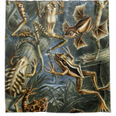 Ernst Haeckel-Vielzahl der exotischen Frösche: Duschvorhang (Vorderseite)
